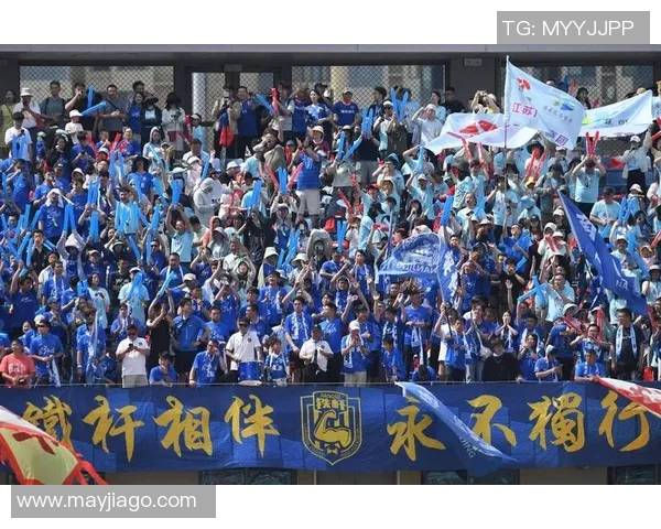 南京极限运动队状态分析与发展前景探讨